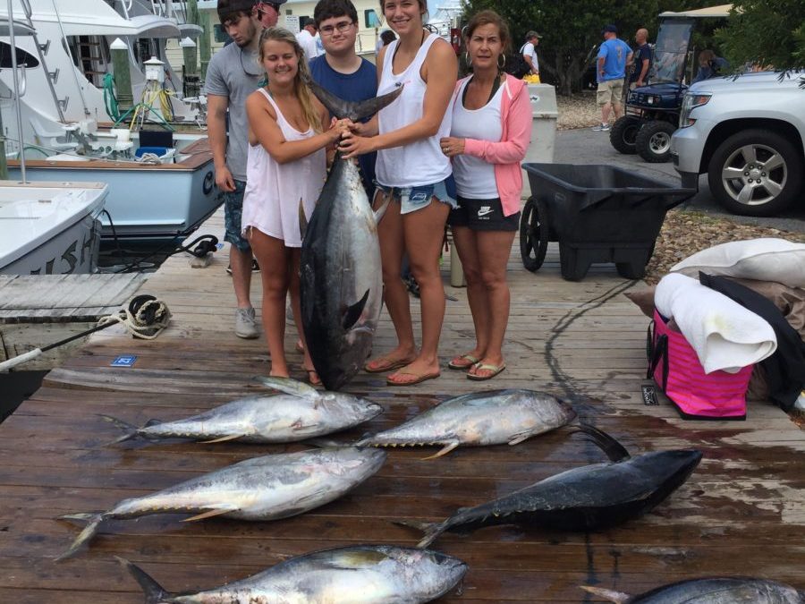 6/25/17 yellowfin and bigeyes still chewing!